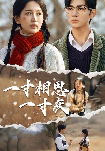 一寸相思一寸灰（43集） 高清完整版